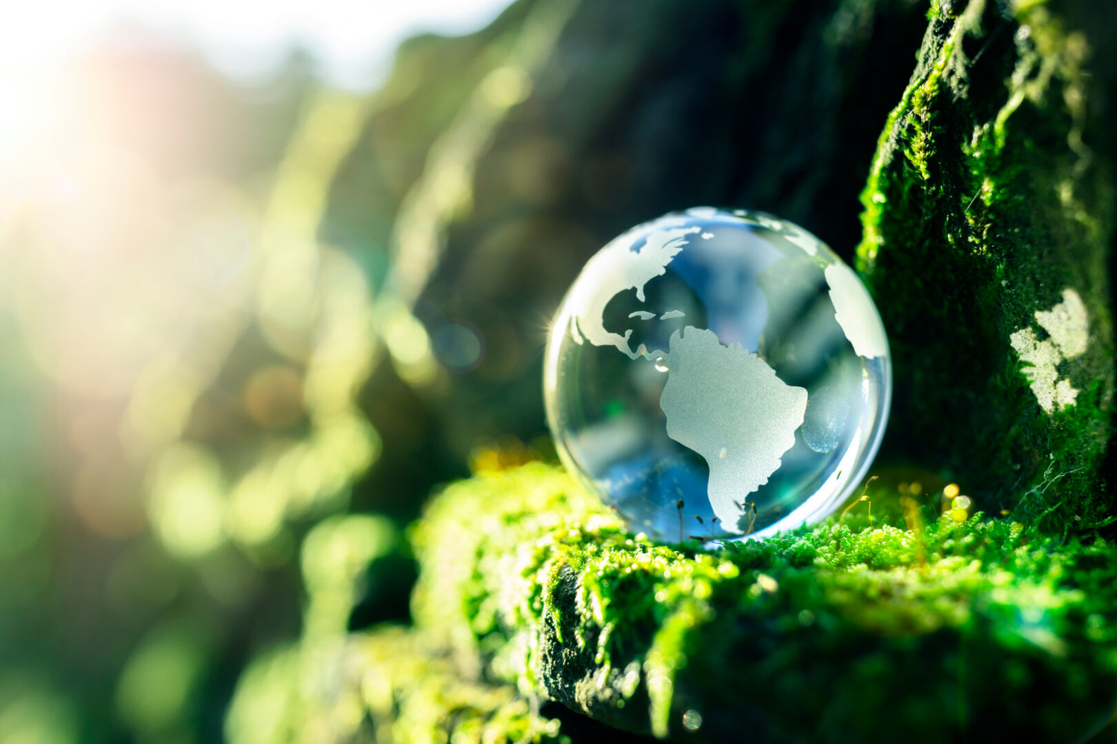 Glass,Globe,In,The,In,Nature,Concept,For,Environment,And